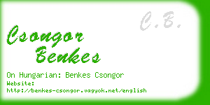 csongor benkes business card